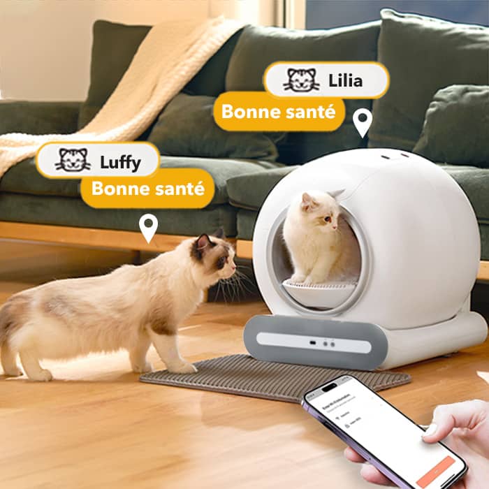 Conçue avec la sécurité de votre chat en priorité